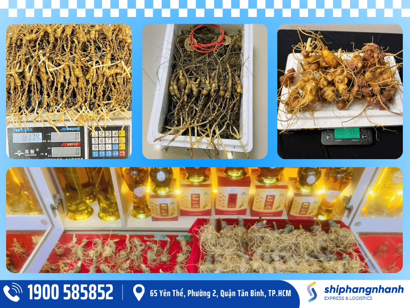 dich vu gui cac loai nhan sam dji uc cua ship hang nhanh express 1