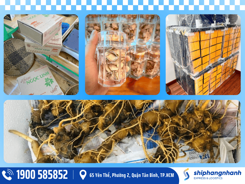 dich vu gui cac loai nhan sam dji uc cua ship hang nhanh express 2