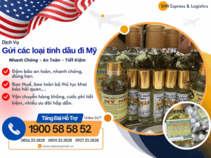 gui tinh dau di my