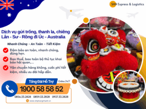 gui trong dau lan su rong di uc