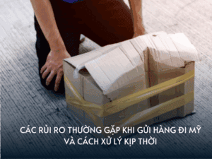 rui ro khi gui hang di my