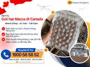 gui hat macca di canada