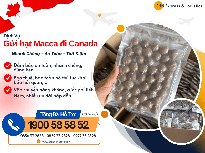 gui hat macca di canada