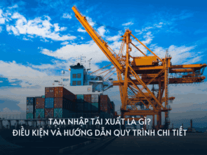 tam nhap tai xuat la gi