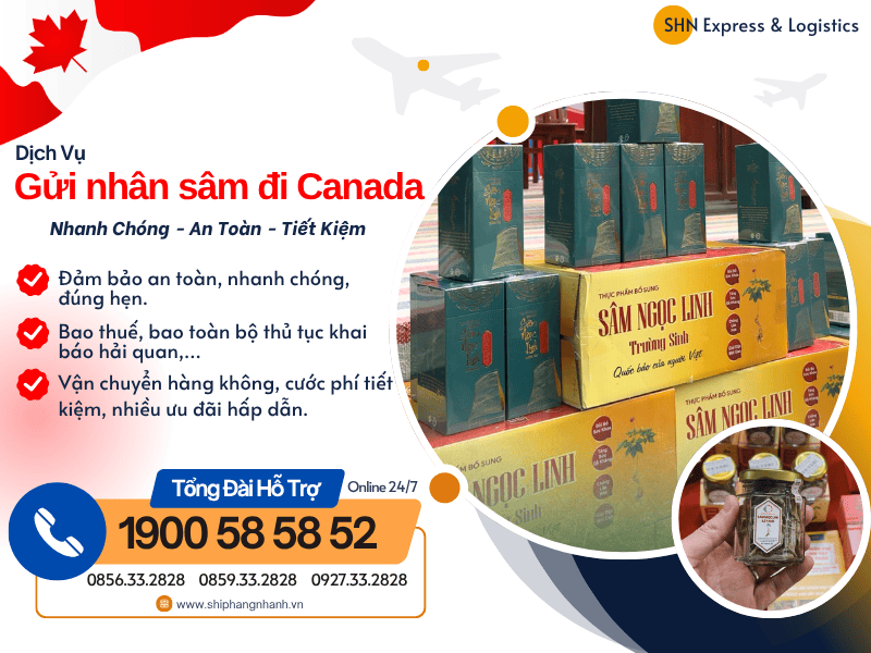 gui nhan sam di canada