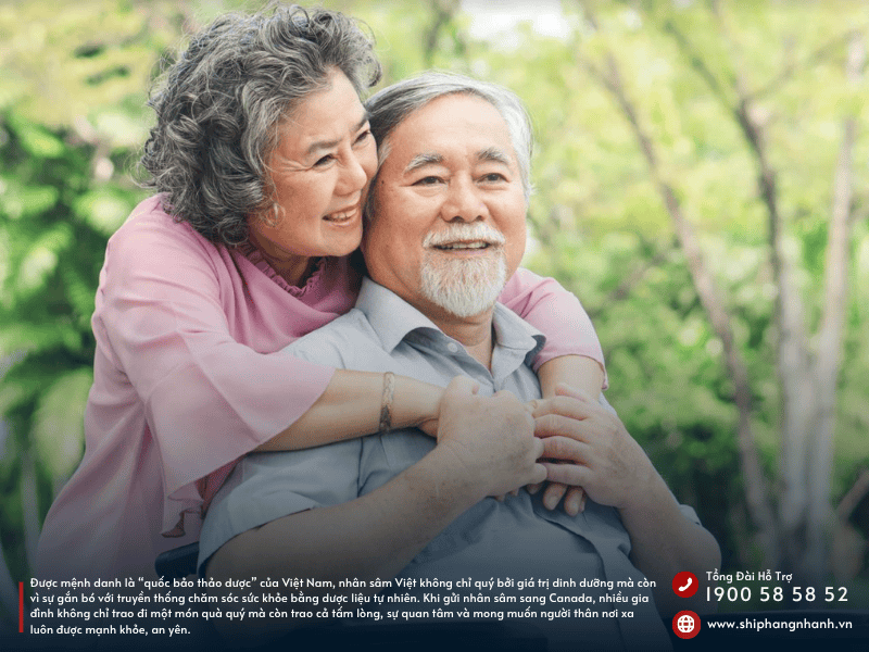 vi sao nhan sam viet ngay cang duoc nhieu kieu bao ua chuong 1