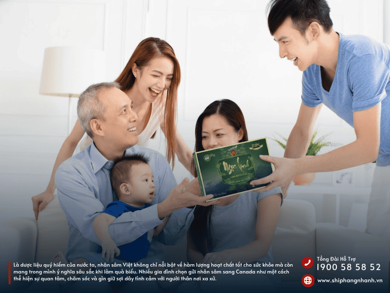 vi sao nhan sam viet ngay cang duoc nhieu kieu bao ua chuong